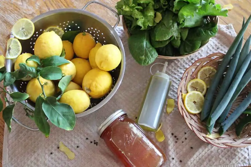 Photo of Lemon, Honey, and Green Onion Vinaigrette